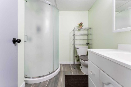 119 Mardale Crescent Ne, Calgary, AB - Indoor Photo Showing Bathroom