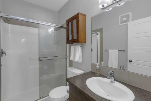 207-207 Sunset Drive, Cochrane, AB - Indoor Photo Showing Bathroom