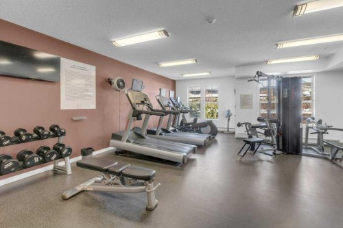 207-207 Sunset Drive, Cochrane, AB - Indoor Photo Showing Gym Room