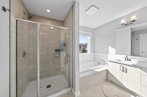 23 Willow Park Point, Cochrane, AB - Indoor Photo Showing Bathroom