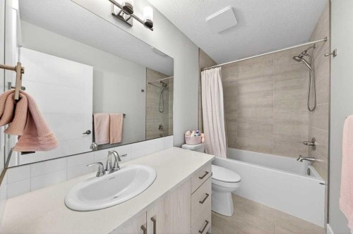 23 Willow Park Point, Cochrane, AB - Indoor Photo Showing Bathroom