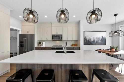23 Willow Park Point, Cochrane, AB - Indoor Photo Showing Kitchen With Upgraded Kitchen