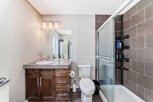 63 Chapalina Square Se, Calgary, AB - Indoor Photo Showing Bathroom