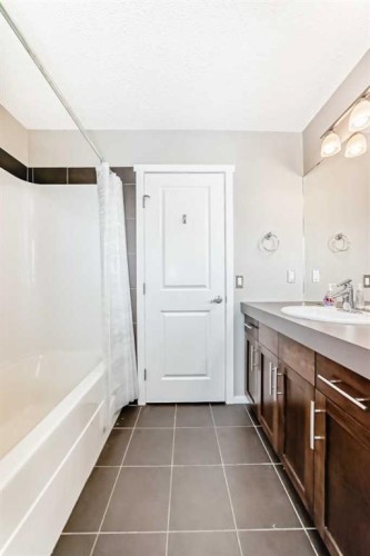 63 Chapalina Square Se, Calgary, AB - Indoor Photo Showing Bathroom