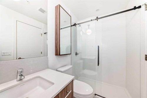 1313-730 2 Avenue, Calgary, AB - Indoor Photo Showing Bathroom