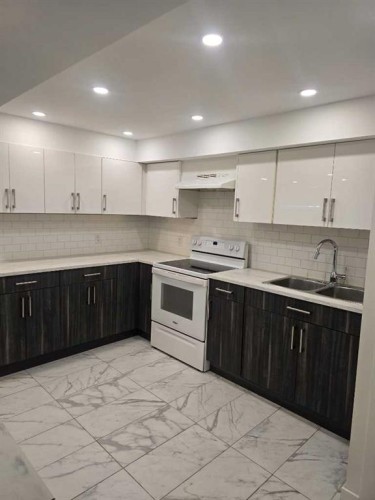 3503 48 Street Ne, Calgary, AB - Indoor Photo Showing Kitchen With Double Sink