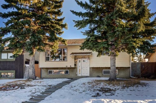 1059 Pinecliff Drive Ne, Calgary, AB - Outdoor