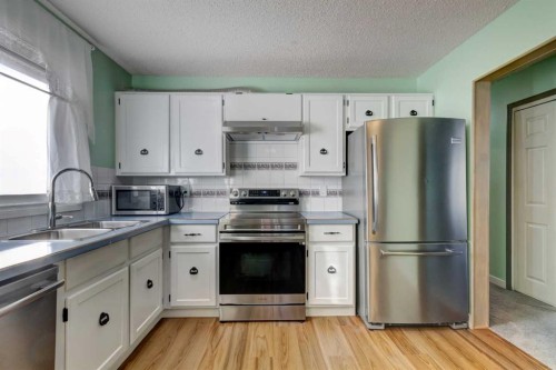 1059 Pinecliff Drive Ne, Calgary, AB - Indoor Photo Showing Kitchen With Stainless Steel Kitchen With Double Sink