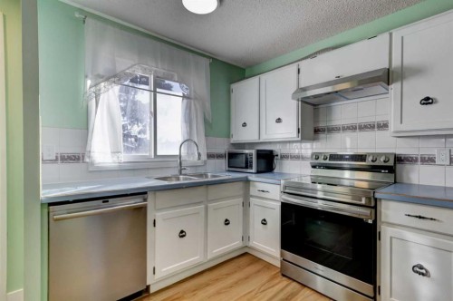 1059 Pinecliff Drive Ne, Calgary, AB - Indoor Photo Showing Kitchen With Stainless Steel Kitchen With Double Sink