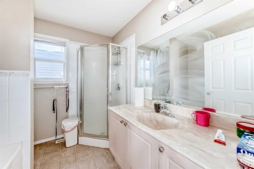 78 Taralea Manor Ne, Calgary, AB - Indoor Photo Showing Bathroom