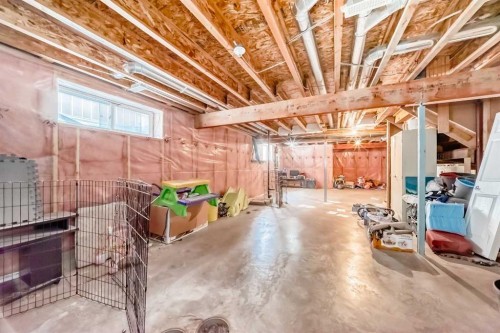 78 Taralea Manor Ne, Calgary, AB - Indoor Photo Showing Basement