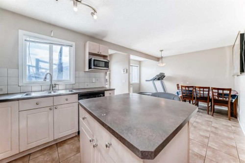 78 Taralea Manor Ne, Calgary, AB - Indoor Photo Showing Kitchen With Double Sink