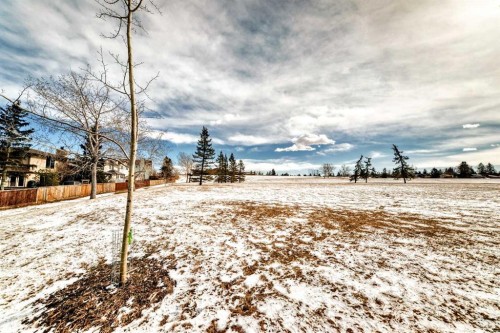 319 Whitefield Drive Ne, Calgary, AB - Outdoor With View