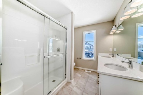 185 Mercado Landing Se, Calgary, AB - Indoor Photo Showing Bathroom