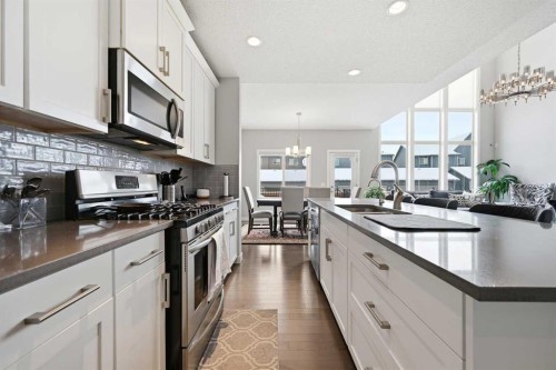 127 Walden Heights Se, Calgary, AB - Indoor Photo Showing Kitchen With Upgraded Kitchen