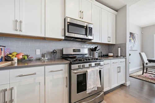 127 Walden Heights Se, Calgary, AB - Indoor Photo Showing Kitchen With Upgraded Kitchen
