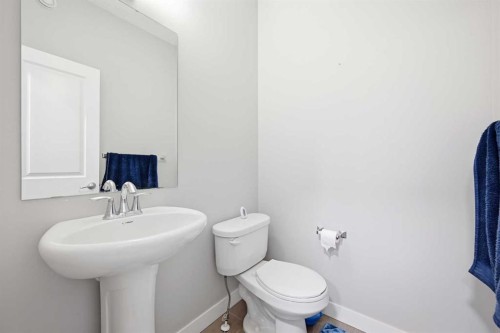 127 Walden Heights Se, Calgary, AB - Indoor Photo Showing Bathroom