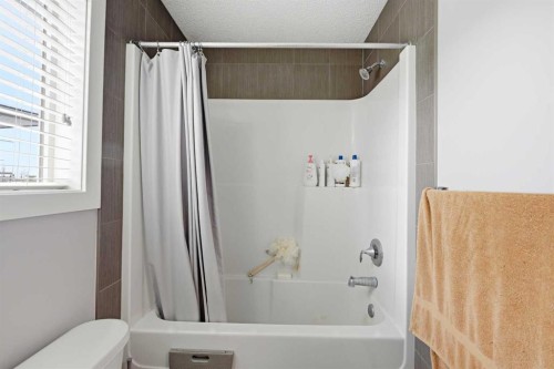 127 Walden Heights Se, Calgary, AB - Indoor Photo Showing Bathroom