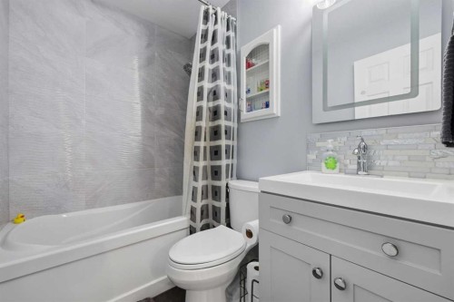 1015 Maplecroft Road Se, Calgary, AB - Indoor Photo Showing Bathroom