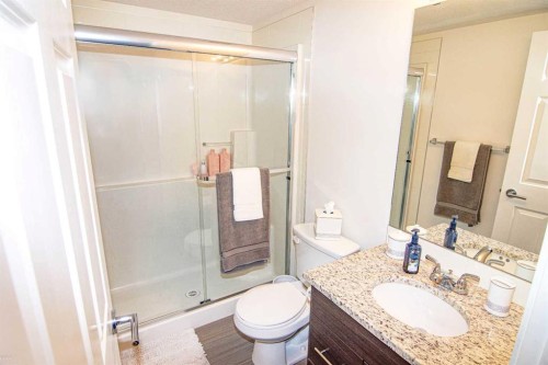 4311-99 Copperstone Park, Calgary, AB - Indoor Photo Showing Bathroom