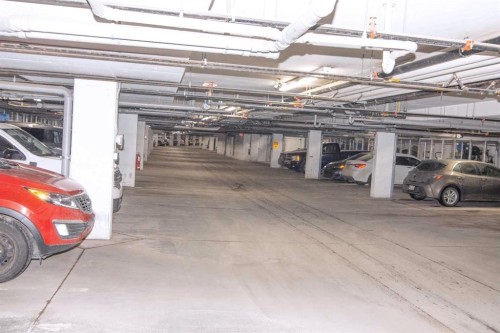 4311-99 Copperstone Park, Calgary, AB - Indoor Photo Showing Garage
