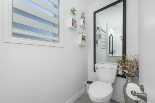 8430 Saddleridge Drive Ne, Calgary, AB - Indoor Photo Showing Bathroom