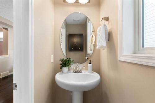 149 Windridge Road Sw, Airdrie, AB - Indoor Photo Showing Bathroom