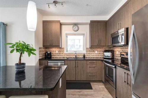 121-402 Marquis Lane Se, Calgary, AB - Indoor Photo Showing Kitchen With Stainless Steel Kitchen With Upgraded Kitchen