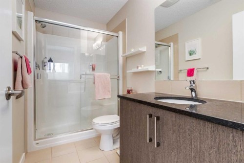 121-402 Marquis Lane Se, Calgary, AB - Indoor Photo Showing Bathroom