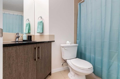 121-402 Marquis Lane Se, Calgary, AB - Indoor Photo Showing Bathroom