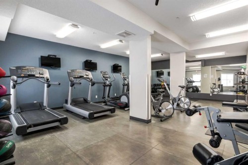 121-402 Marquis Lane Se, Calgary, AB - Indoor Photo Showing Gym Room