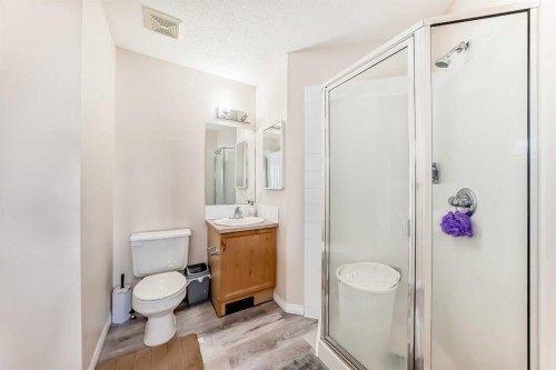 151 Covepark Green Ne, Calgary, AB - Indoor Photo Showing Bathroom