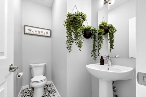 253 Auburn Meadows Boulevard Se, Calgary, AB - Indoor Photo Showing Bathroom