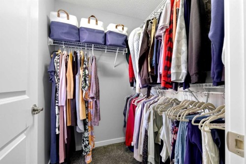 253 Auburn Meadows Boulevard Se, Calgary, AB - Indoor With Storage