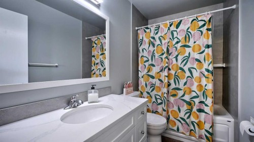 280 Riverwood Circle Se, Calgary, AB - Indoor Photo Showing Bathroom