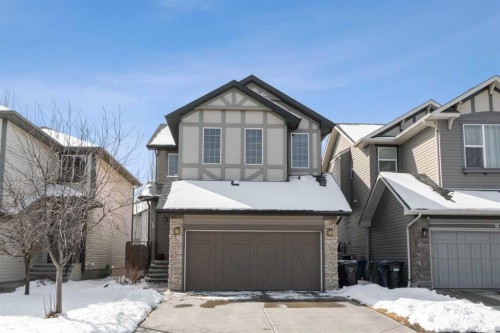 12 Brightoncrest Manor, Calgary, AB - Outdoor