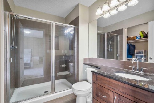 12 Brightoncrest Manor, Calgary, AB - Indoor Photo Showing Bathroom