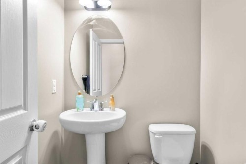 12 Brightoncrest Manor, Calgary, AB - Indoor Photo Showing Bathroom