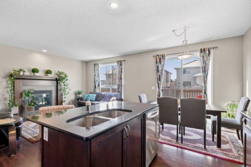 12 Brightoncrest Manor, Calgary, AB - Indoor Photo Showing Kitchen With Fireplace With Double Sink