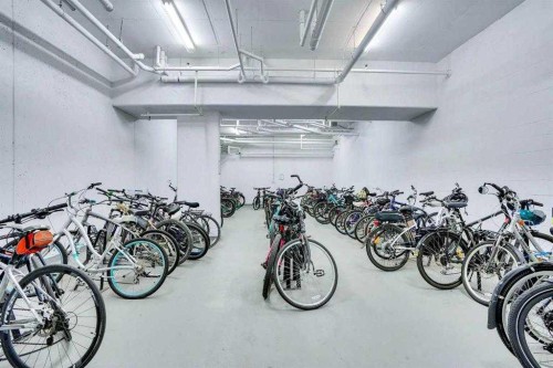 306-131 Quarry Way Se, Calgary, AB - Indoor Photo Showing Garage