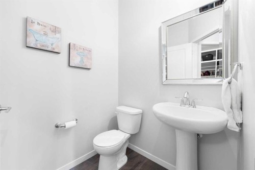 92 Brightoncrest Point Se, Calgary, AB - Indoor Photo Showing Bathroom