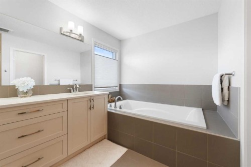 92 Brightoncrest Point Se, Calgary, AB - Indoor Photo Showing Bathroom