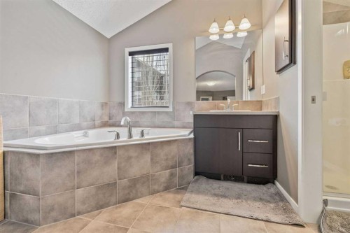 117 Silverado Saddle Heights Sw, Calgary, AB - Indoor Photo Showing Bathroom