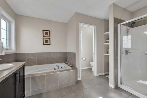 87 Panton Landing Nw, Calgary, AB - Indoor Photo Showing Bathroom