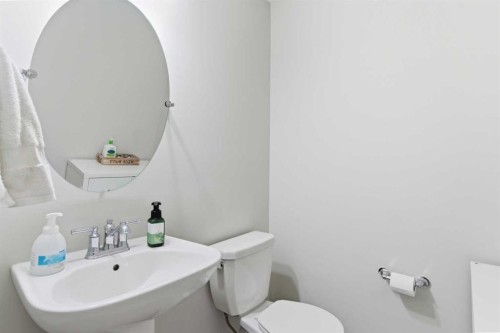 580 Savanna Boulevard Ne, Calgary, AB - Indoor Photo Showing Bathroom