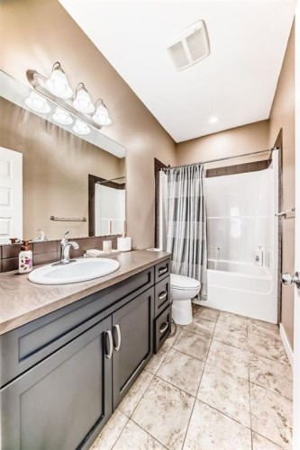 612 Montgomery Close Se, High River, AB - Indoor Photo Showing Bathroom