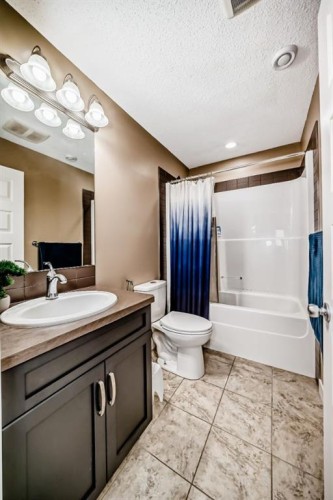 612 Montgomery Close Se, High River, AB - Indoor Photo Showing Bathroom