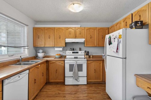 53 Millrise Lane Sw, Calgary, AB - Indoor Photo Showing Kitchen With Double Sink