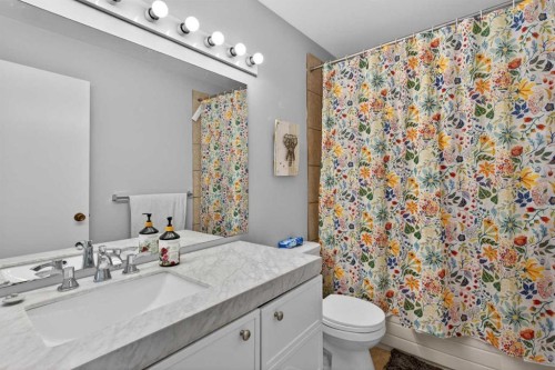 53 Millrise Lane Sw, Calgary, AB - Indoor Photo Showing Bathroom