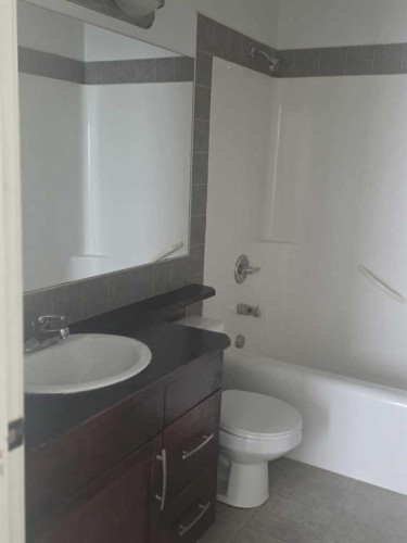210 Saddlebrook Way Ne, Calgary, AB - Indoor Photo Showing Bathroom